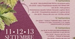 Festa dell'uva 2026 - Broni - Immagine: 2