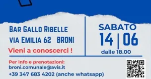 AperiAvis - Broni 2025 - Immagine: 2